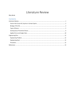 Literature Review