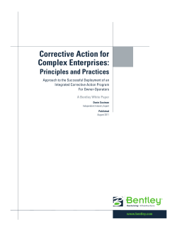 Corrective Action for Complex Enterprises