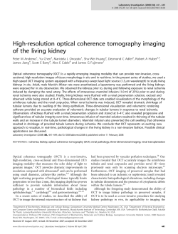 High-resolution optical coherence tomography imaging of the living