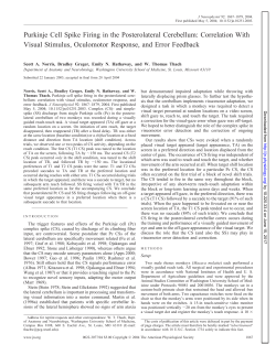 Purkinje Cell Spike Firing in the Posterolateral Cerebellum