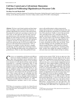 Cell Size Control and a Cell-intrinsic Maturation Program in