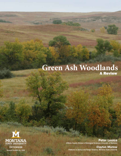 Green Ash Woodlands - Montana State University Extension