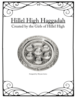 Hillel High Haggadah