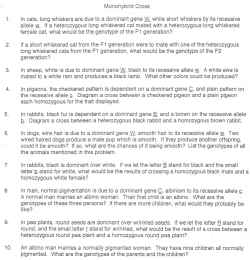 Monohybrid Cross 1. III cats,. long. whiskers are. due. to