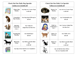 Check Out Our Daily Dog Specials Check Out Our Daily Cat Specials