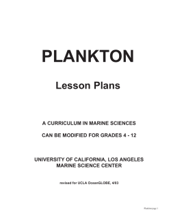 plankton - COSEE West
