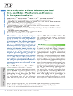 DNA Methylation in Plants: Relationship to Small