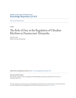 The Role of Zinc in the Regulation of Ultradian Rhythms in
