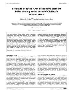 Blockade of cyclic AMP-responsive element DNA