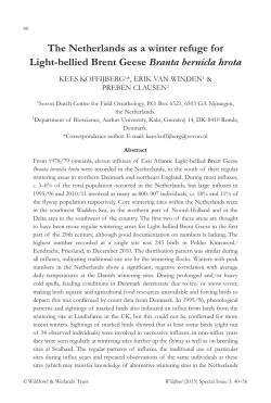 pp40-56 Koffijberg et al.qxp:4 Number of Mute Swa