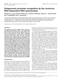 Subgenomic promoter recognition by the
