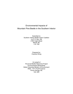 Environmental Impacts of Mountain Pine Beetle in the Southern