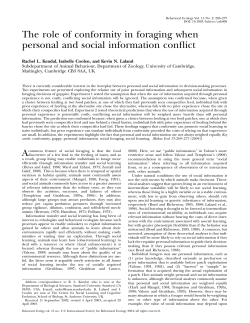 The role of conformity in foraging when personal