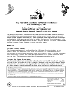 Ring-Necked Pheasant and Northern Bobwhite Quail