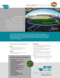 Bandera Bermuda - West Coast Turf