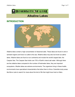 Alkaline Lakes