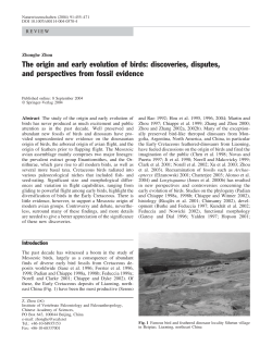 The origin and early evolution of birds: discoveries, disputes, and