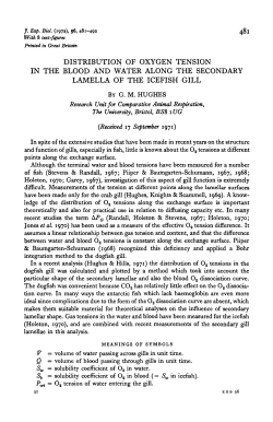 distribution of oxygen tension in the blood and water along the
