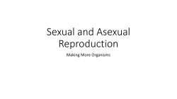 Sexual and Asexual Reproduction