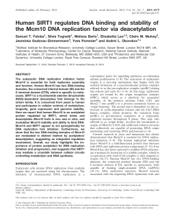 Human SIRT1 regulates DNA binding and