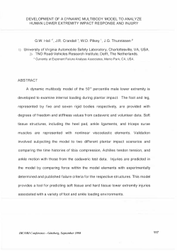 development of a dynamic multibody model to analyze