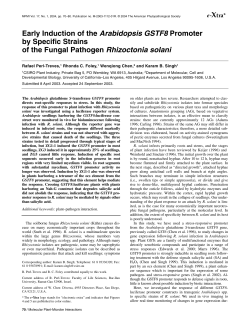 Molecular Plant Microbe Interactions 17