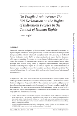 On Fragile Architecture: The UN Declaration on the Rights of