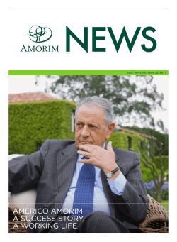 AM&Eacute;RICO AMORIM A SUCCESS STORY, A WORKING LIFE