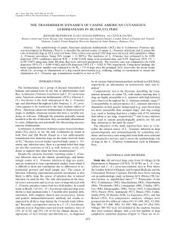 the transmission dynamics of canine american
