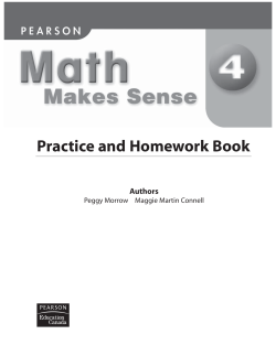 Practice and Homework Book