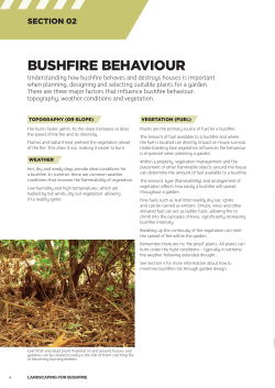 BUSHFIRE BEHAVIOUR