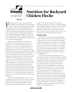 Nutrition for Backyard Chicken Flocks