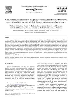 Complementary biocontrol of aphids by the ladybird beetle