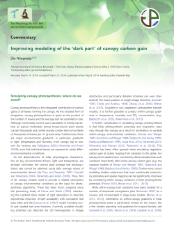 Improving modeling of the `dark part` of canopy