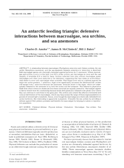 Full text in pdf format