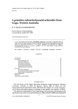 A primitive eubrachythoracid arthrodire from