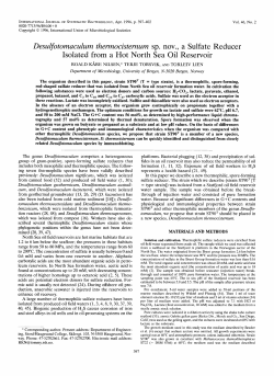 Desulfotomaculum thermocisternum sp. nov., a Sulfate Reducer