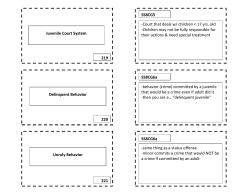 Juvenile Court System 219 221 220 Unruly Behavior Delinquent