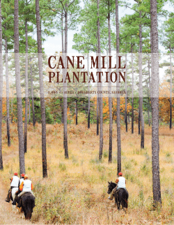 CANE MILL - The Wright Group