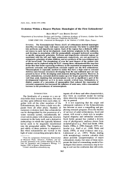 Homologies of the First Echinoderms