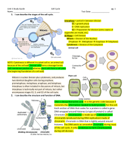 DNA is deoxyribonucleic acid. It is the genetic code because it