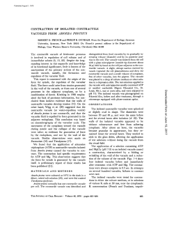 CONTRACTION OF ISOLATED CONTRACTILE VACUOLES FROM