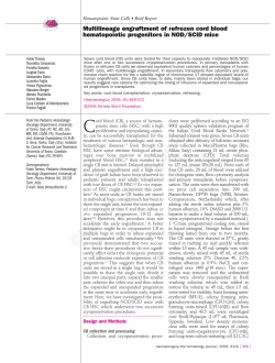 Multilineage engraftment of refrozen cord blood hematopoietic