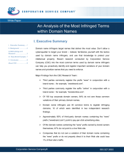 An Analysis of the Most Infringed Terms within Domain Names