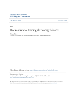 Does endurance training alter energy balance?
