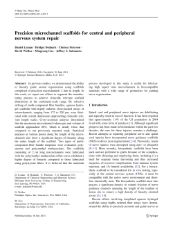 Precision microchannel scaffolds for central and peripheral nervous