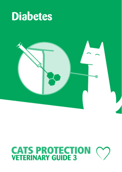 Diabetes - Cats Protection