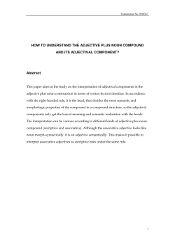 HOW TO UNDERSTAND THE ADJECTIVE PLUS NOUN