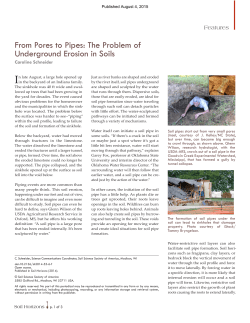 From Pores to Pipes: The Problem of Underground Erosion in Soils