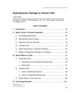 Hydrodynamic Damage to Animal Cells